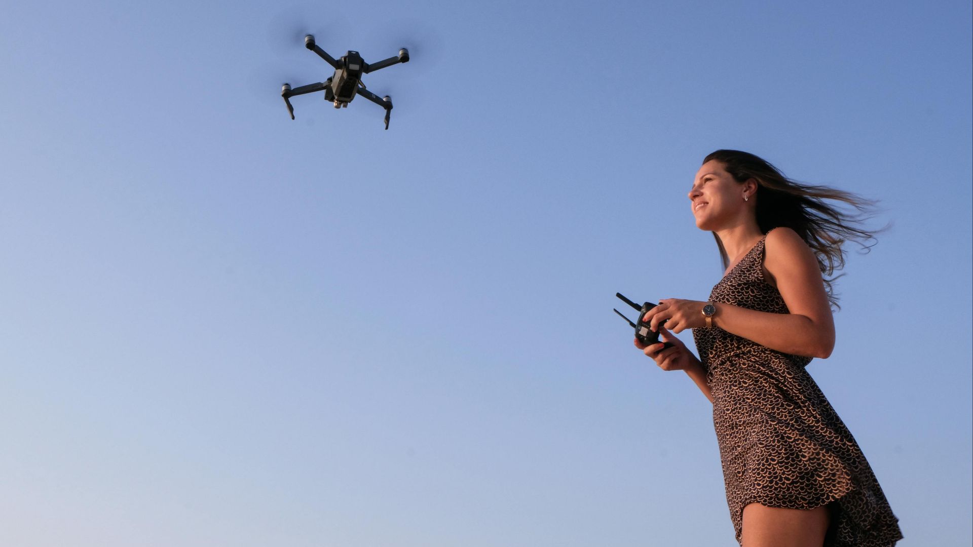 The Lazy Artist Gallery