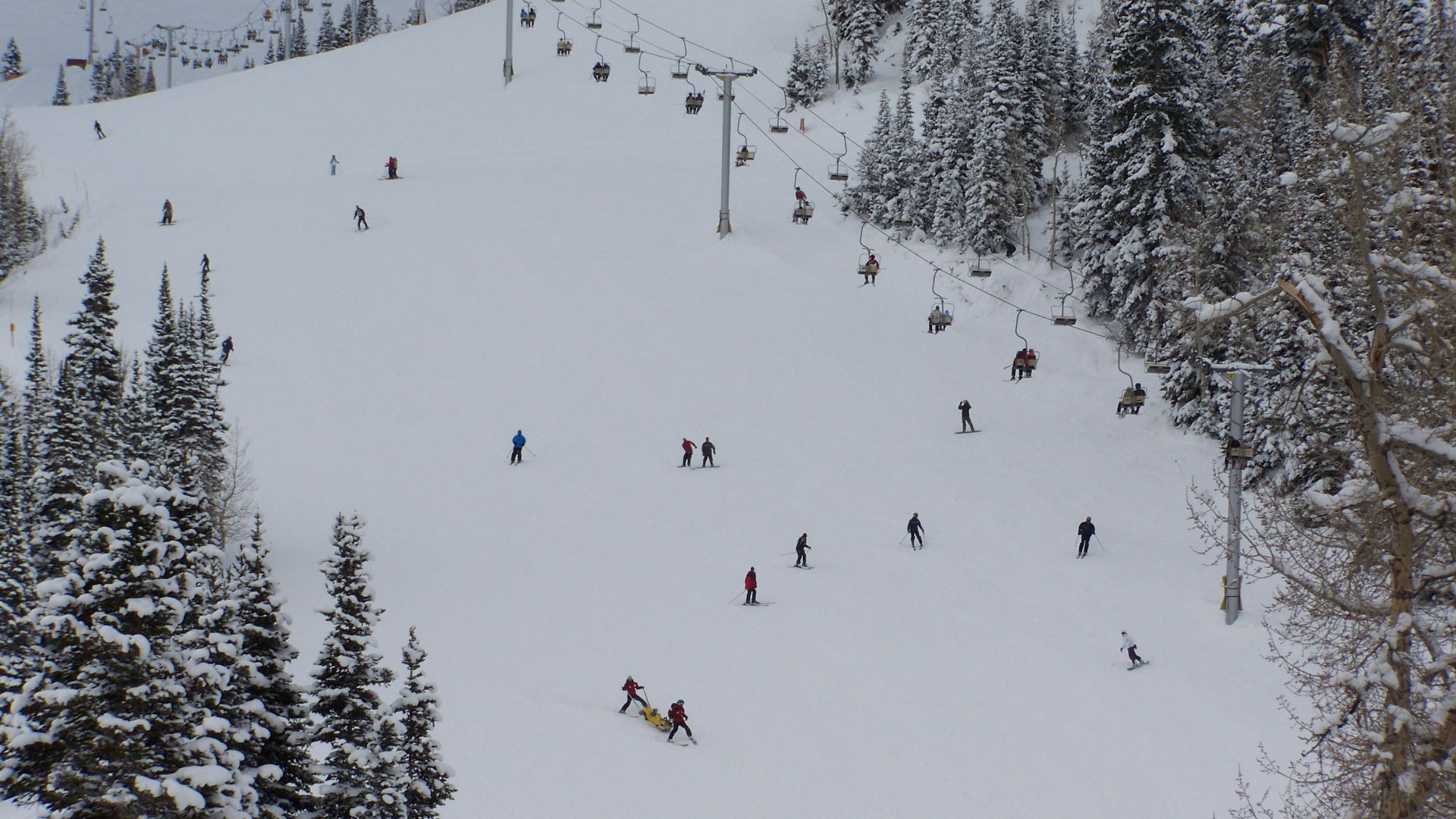 File:Snowbird Skiing.JPG