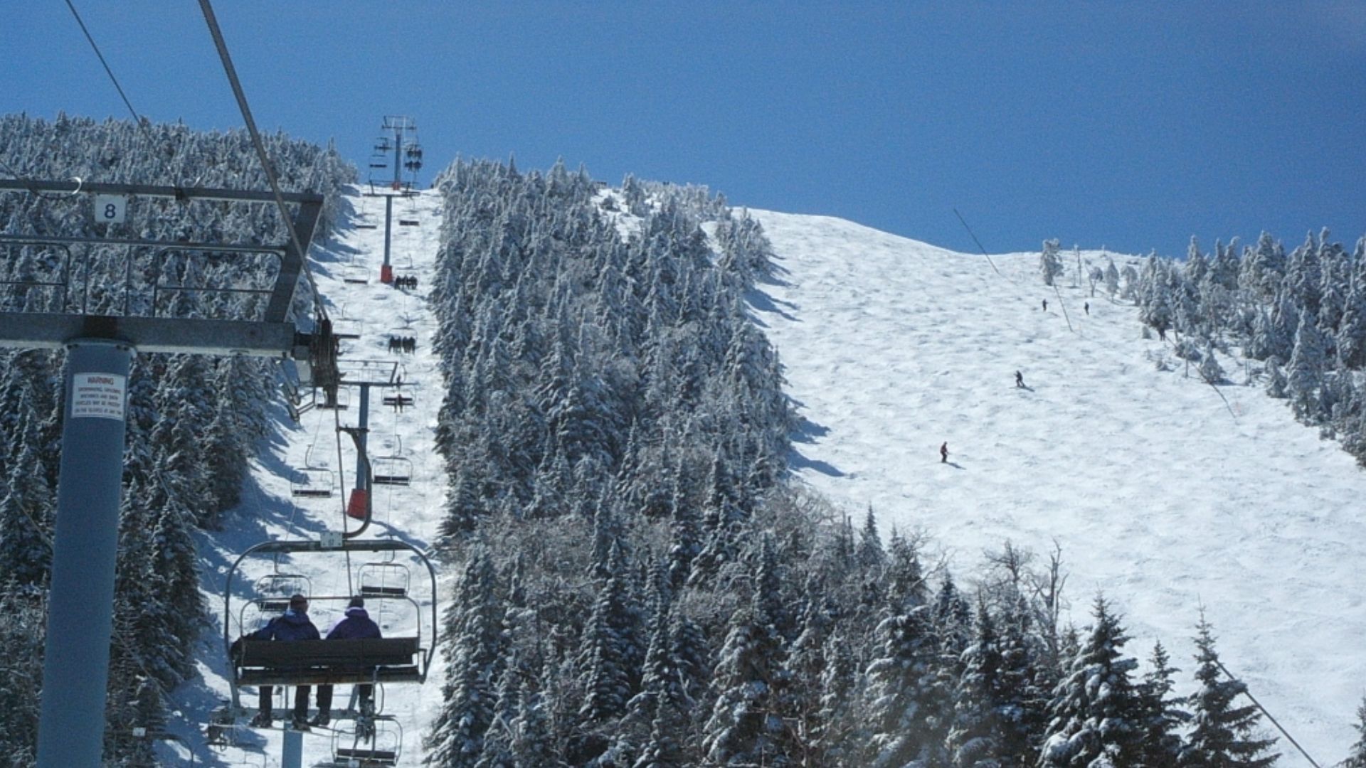 File:Fisbd, Sugarbush.jpg
