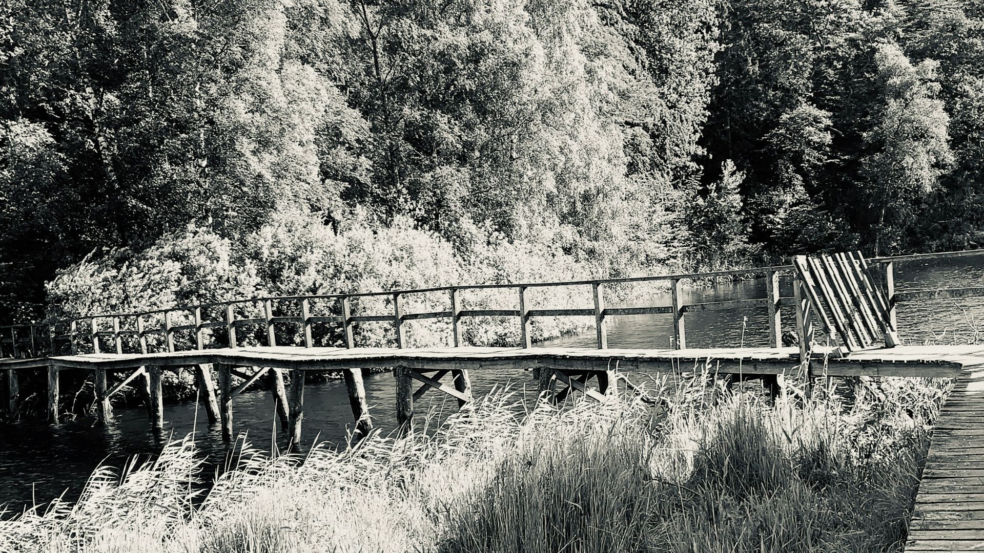 two boys walking on wooden bridge near trees