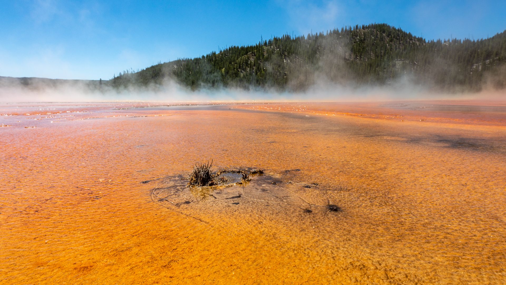File:Yellowstone National Park (WY, USA), Grand Prismatic Spring -- 2022 -- 2514.jpg