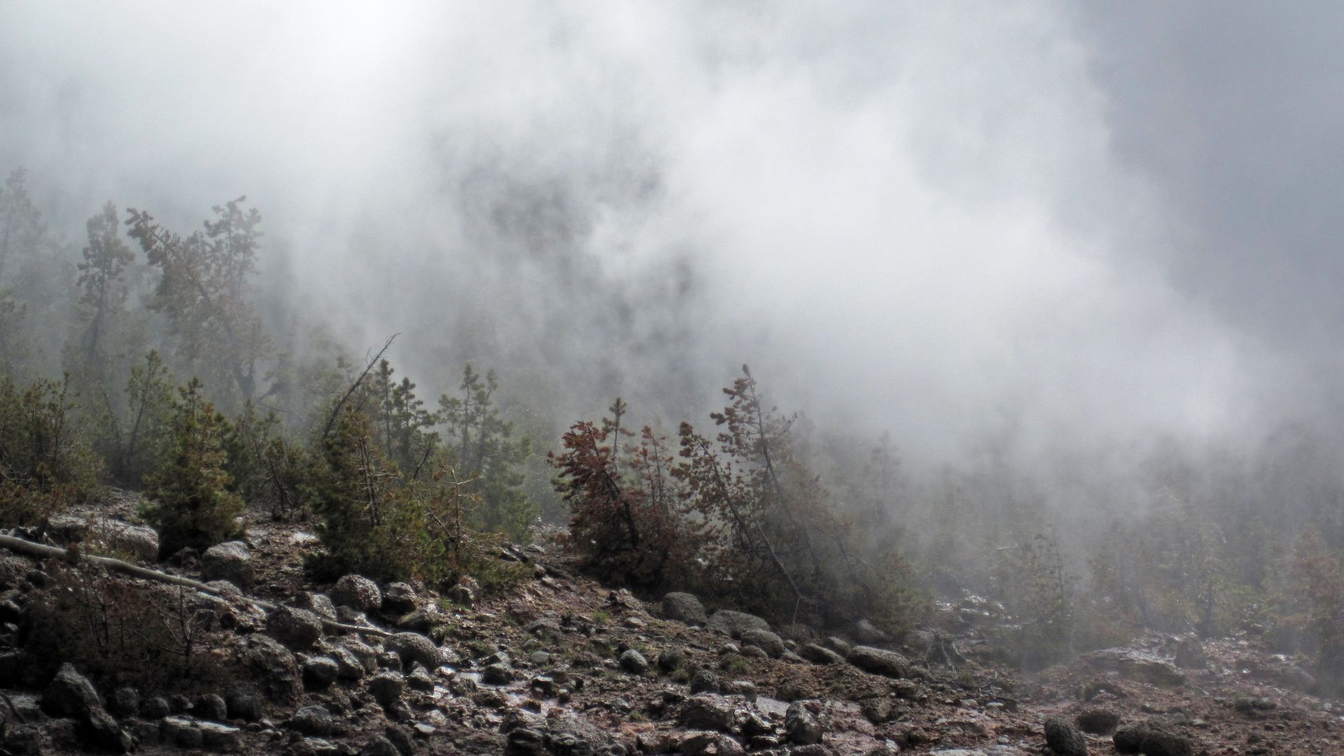 File:Steamboat Geyser major eruption - steam phase (9 36 AM-onward, 4 June 2018) 52 (43220838081).jpg