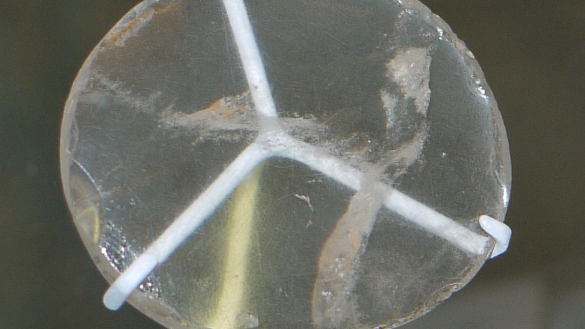 File:Nimrud lens British Museum.jpg