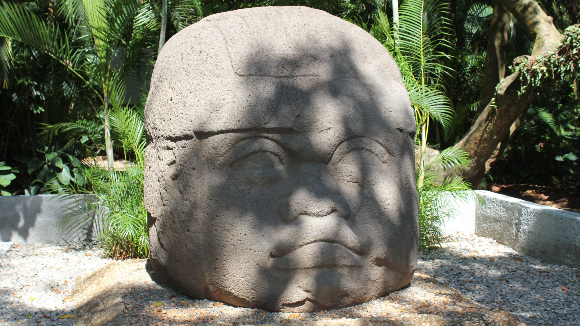 File:Villahermosa, Parque-Museo La Venta, Colossal Head (20686566115).jpg