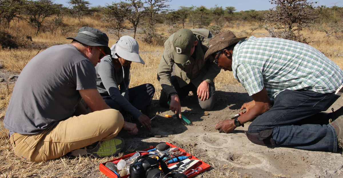 Rss Thumb - Tanzania Footprints