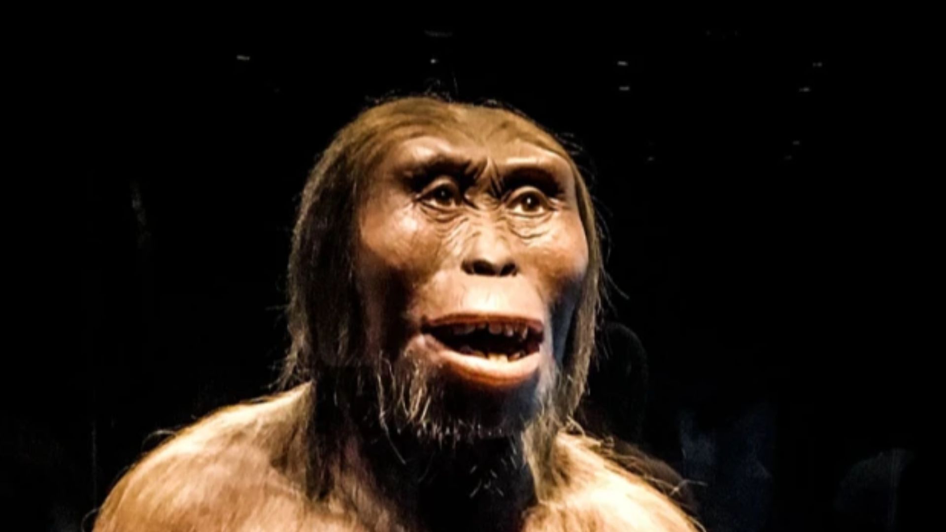 File:Bienvenida al Museo de Lucy.webp