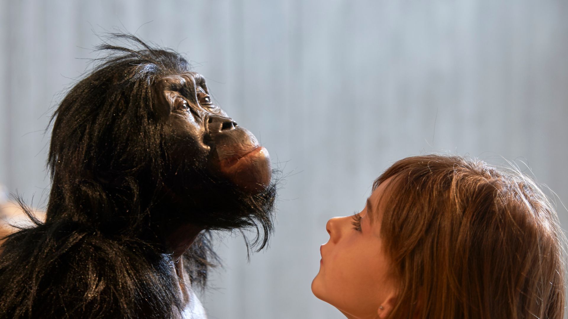 File:Australopithecus afarensis („Lucy