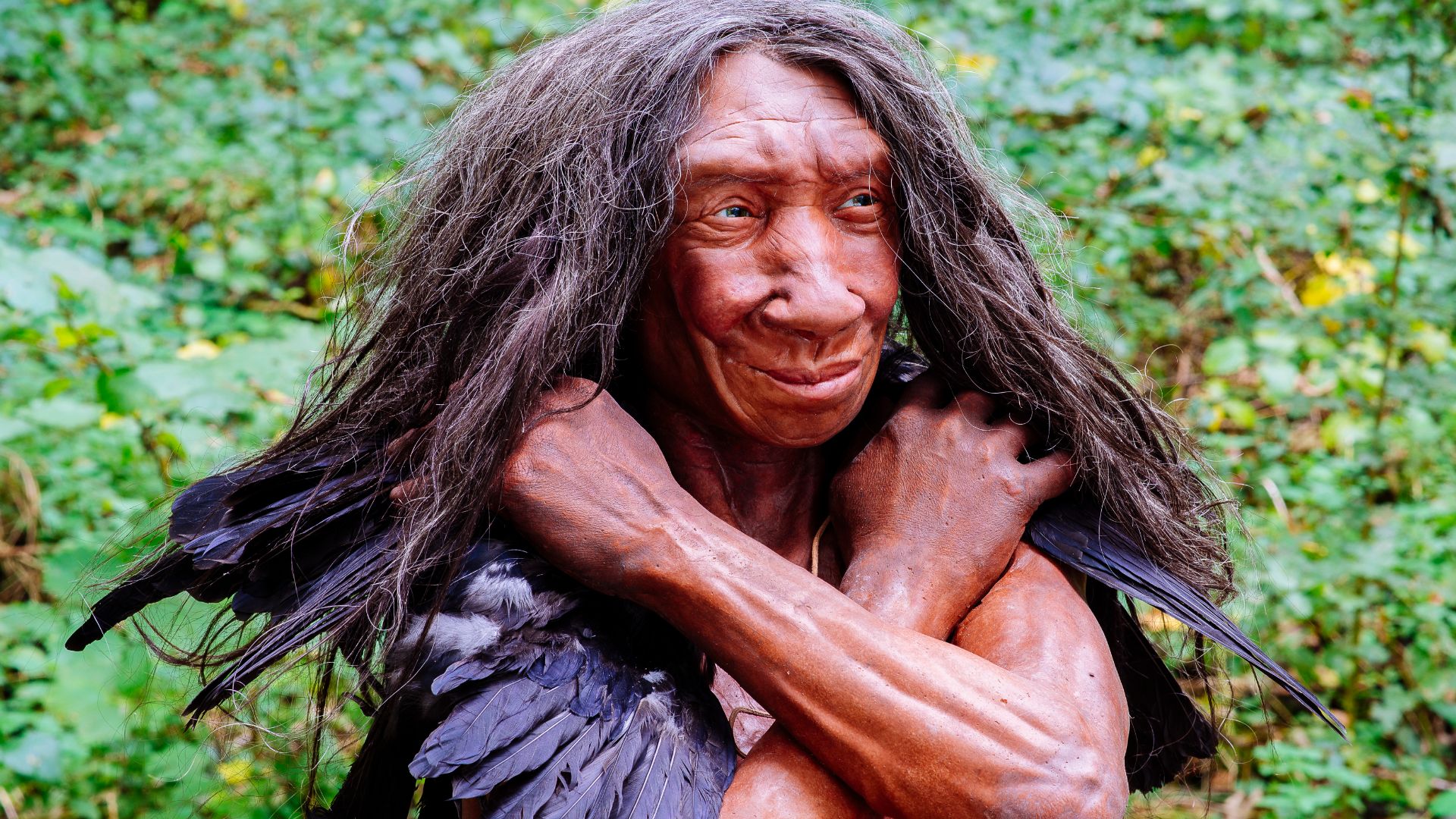 File:Homo sapiens neanderthalensis (Fundort Gibraltar).jpg