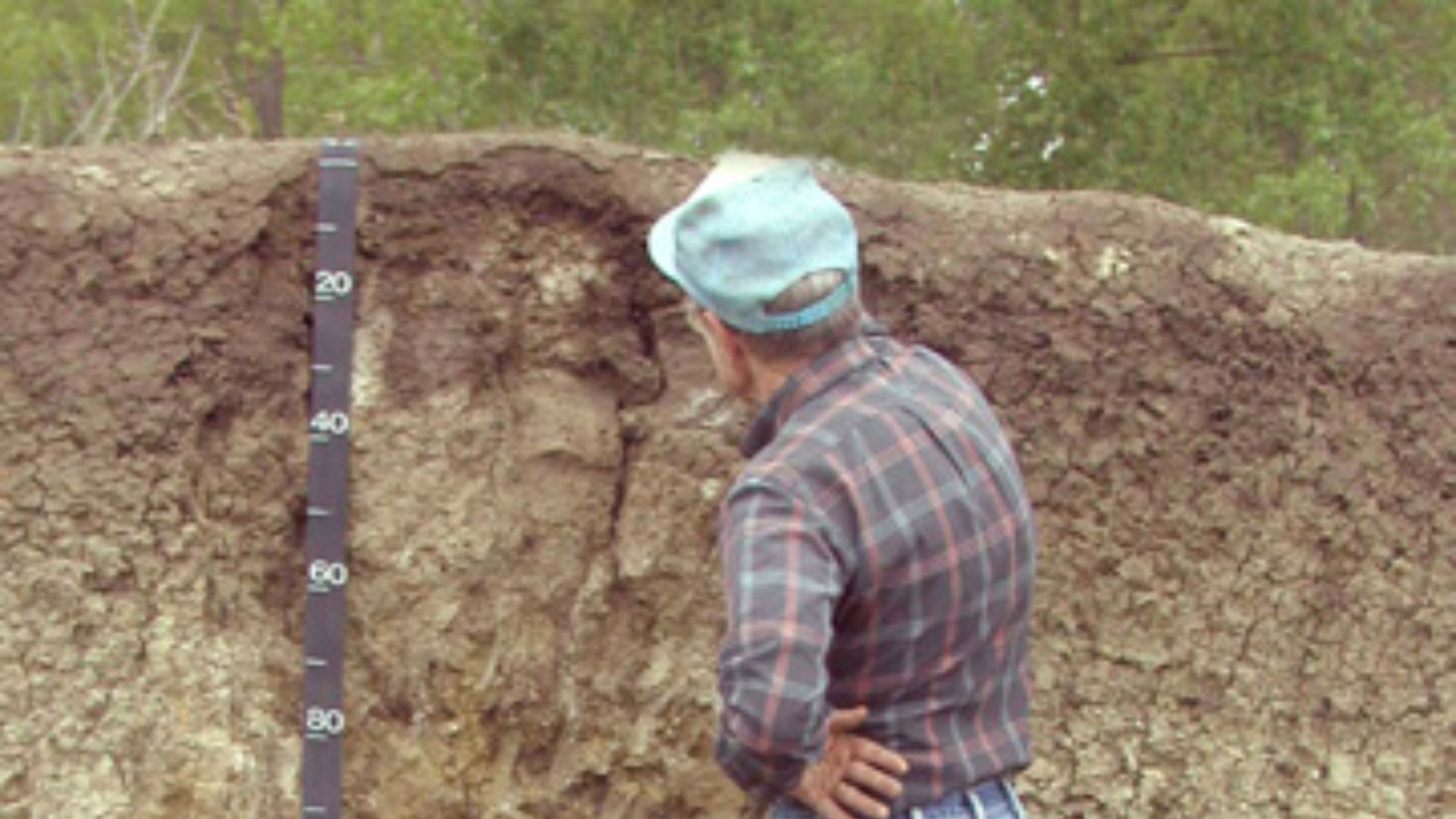File:Soil sci.jpg