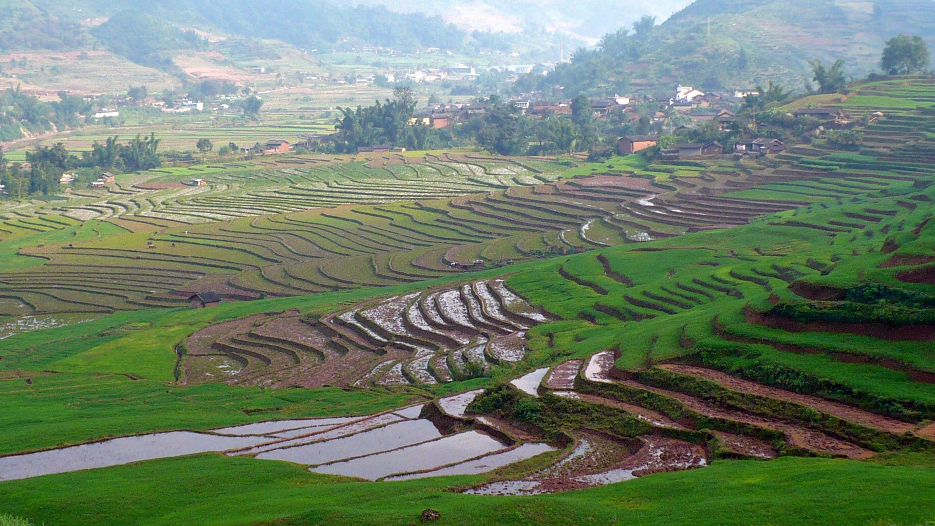 File:Terrace Rice Fields, Yunan China - panoramio.jpg