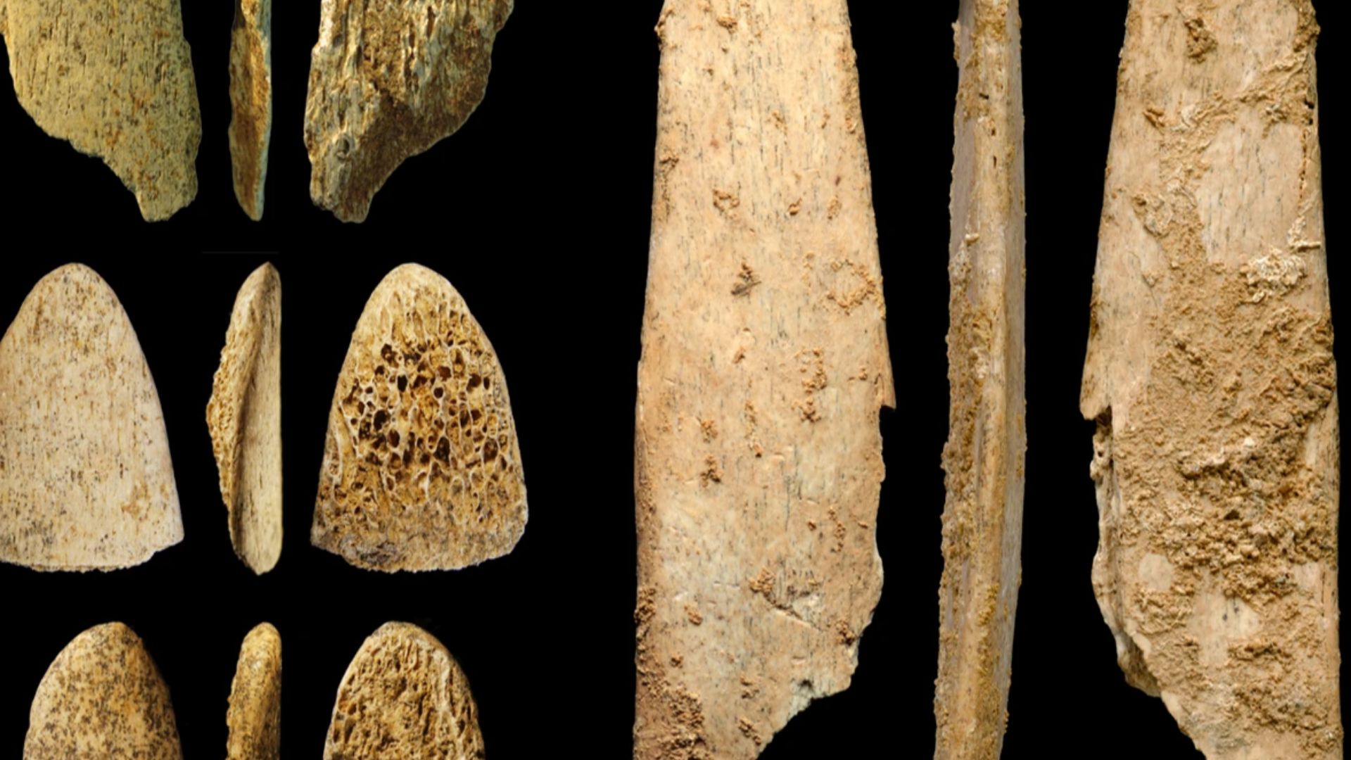 File:Bone tools used by Neanderthals.webp