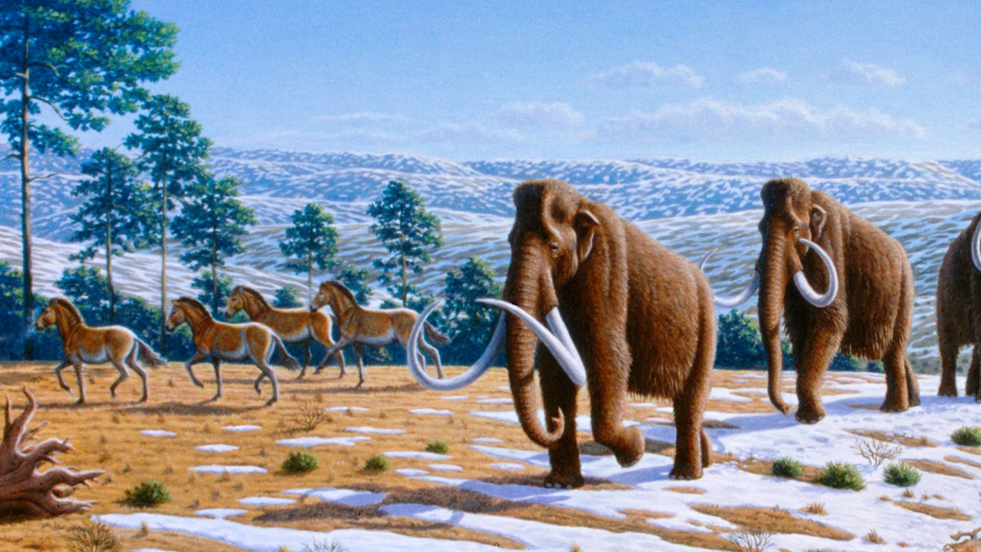 File:Ice age fauna of northern Spain - Mauricio Antón.jpg