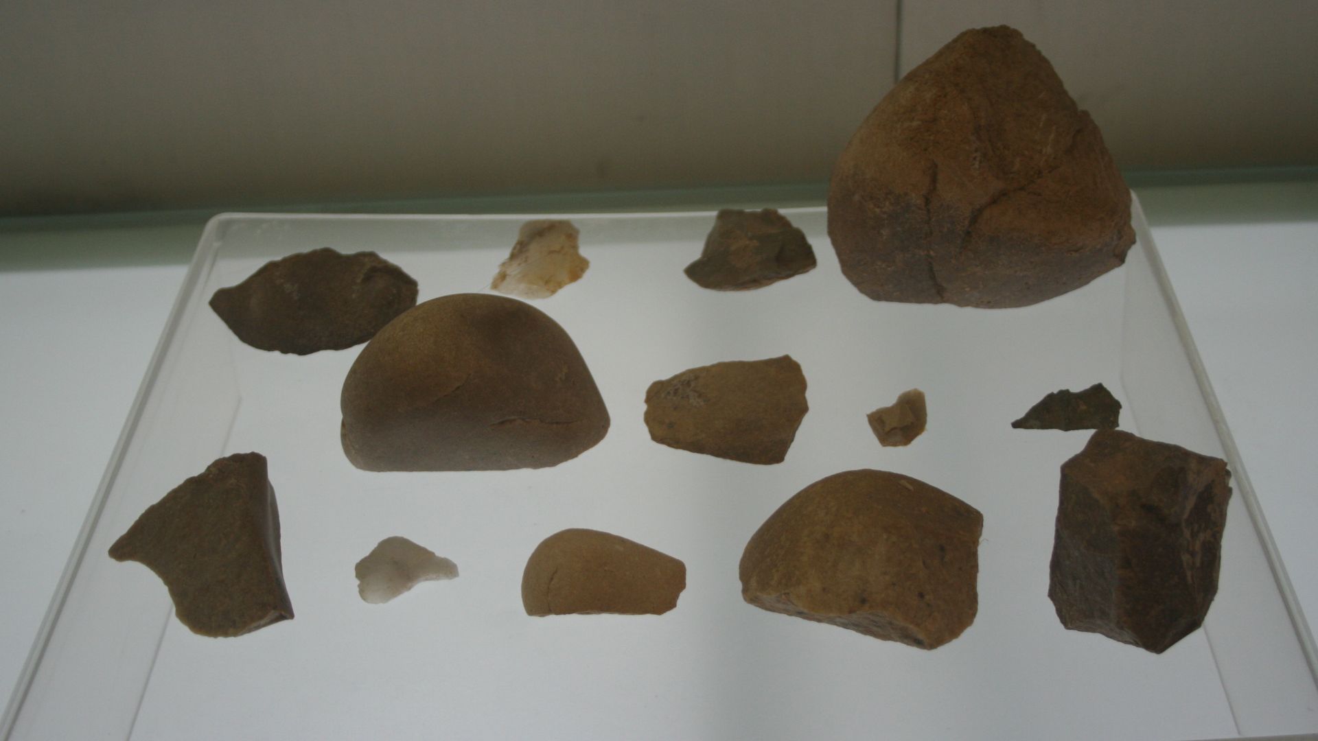 File:Paleolithic Stone Flakes and Cores (10233761515).jpg