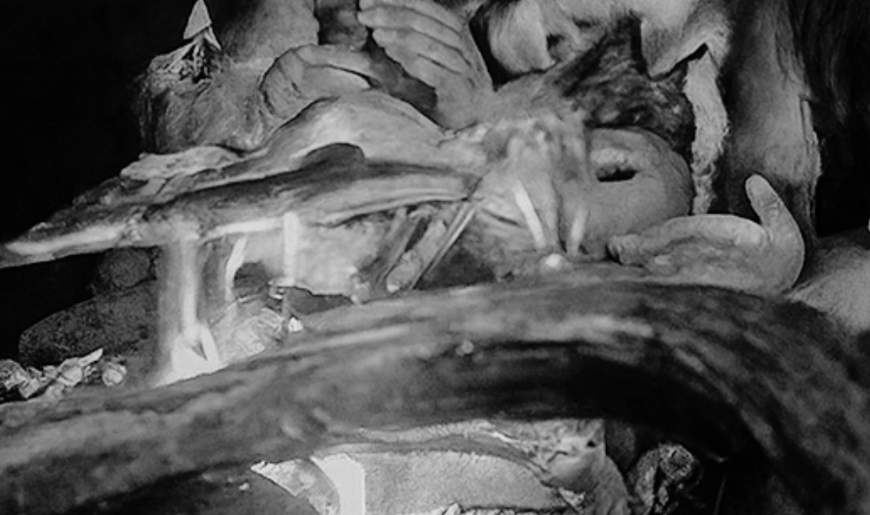 Neanderthal, Getty Images, 1194512891