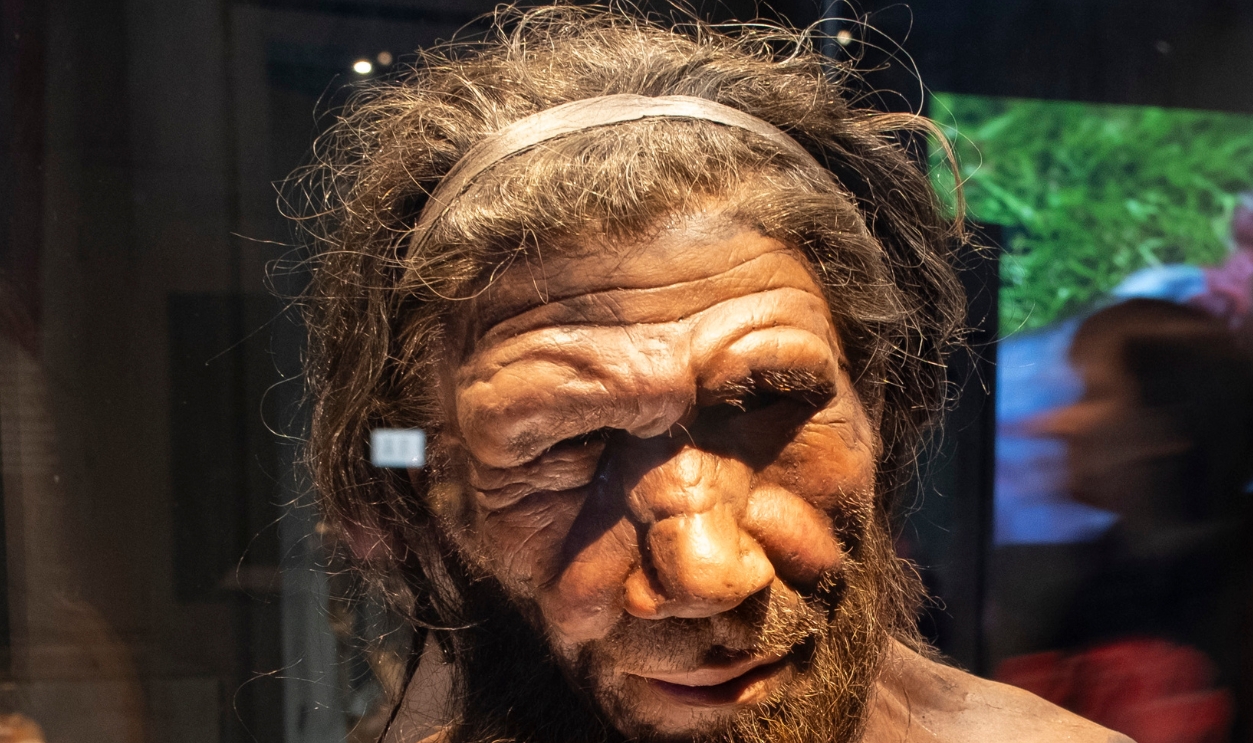 Neanderthal Man, Getty Images, 2017218126