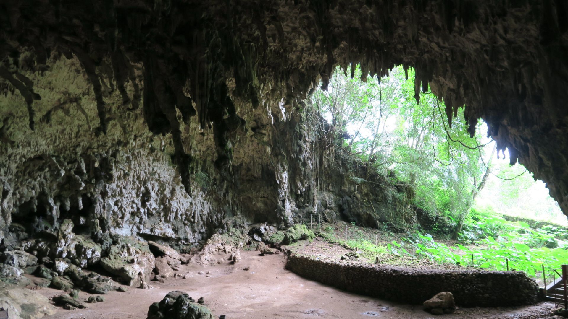 File:20160328122708 - The inside of the Liang Bua hobbit cave (homo floresiensis) (26066080056).jpg