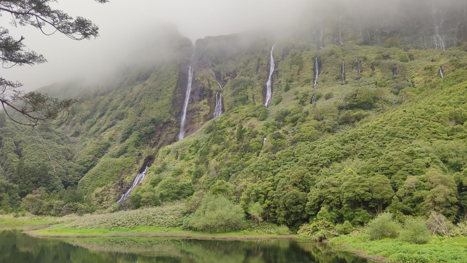 File:Planalto Central das Flores 9.jpg