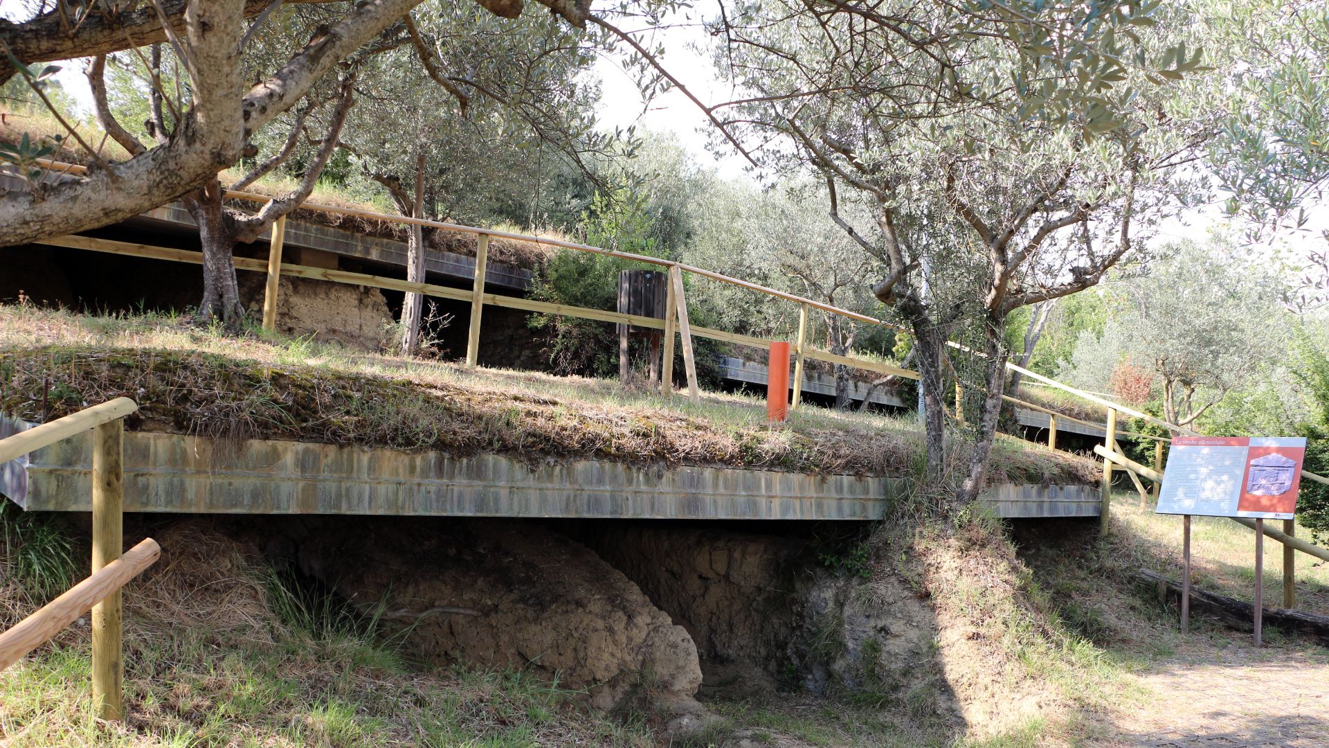 File:Necropoli del palazzone 02.jpg