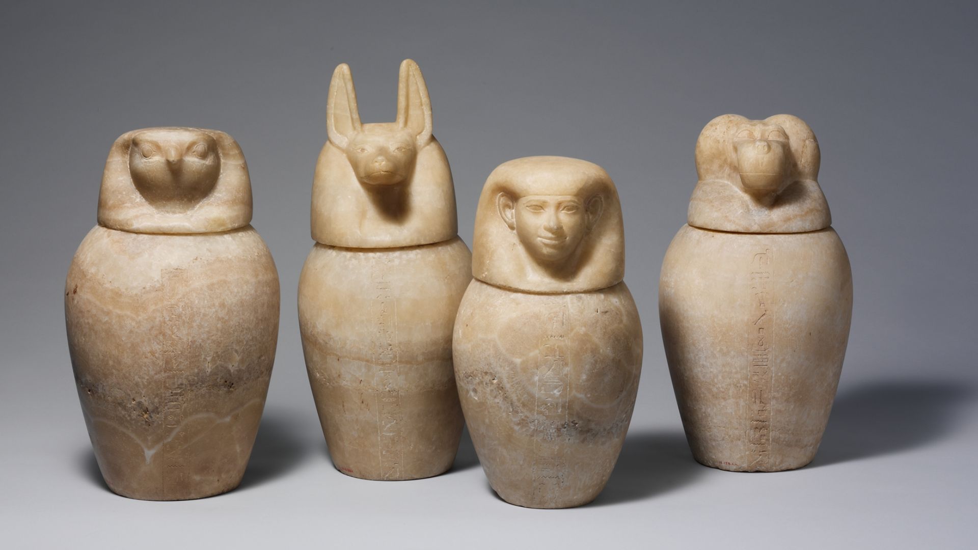 File:Canopic jar with a baboon-headed lid (Hapy) MET DP164136.jpg