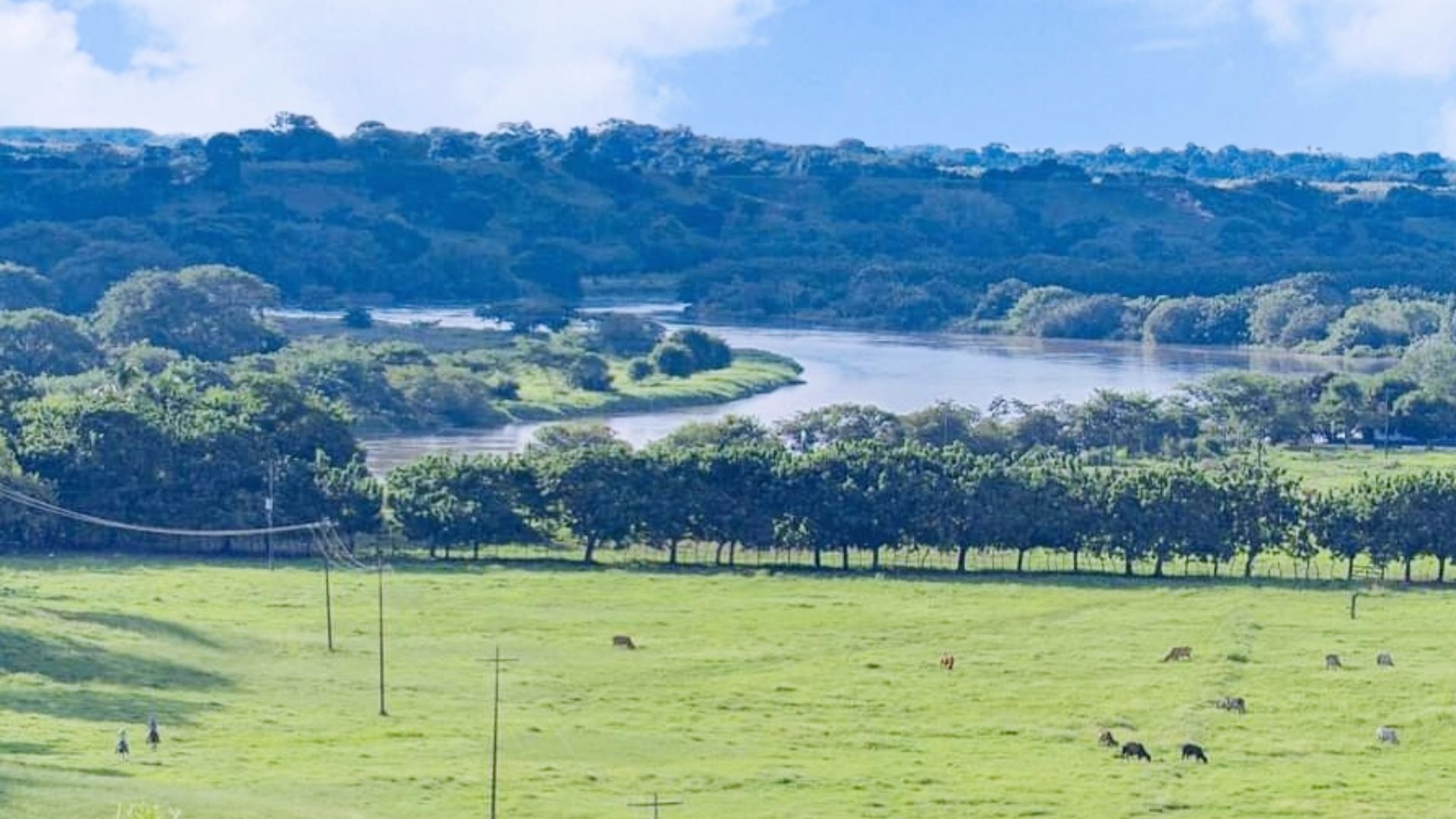 File:Rio San Jorge.jpg