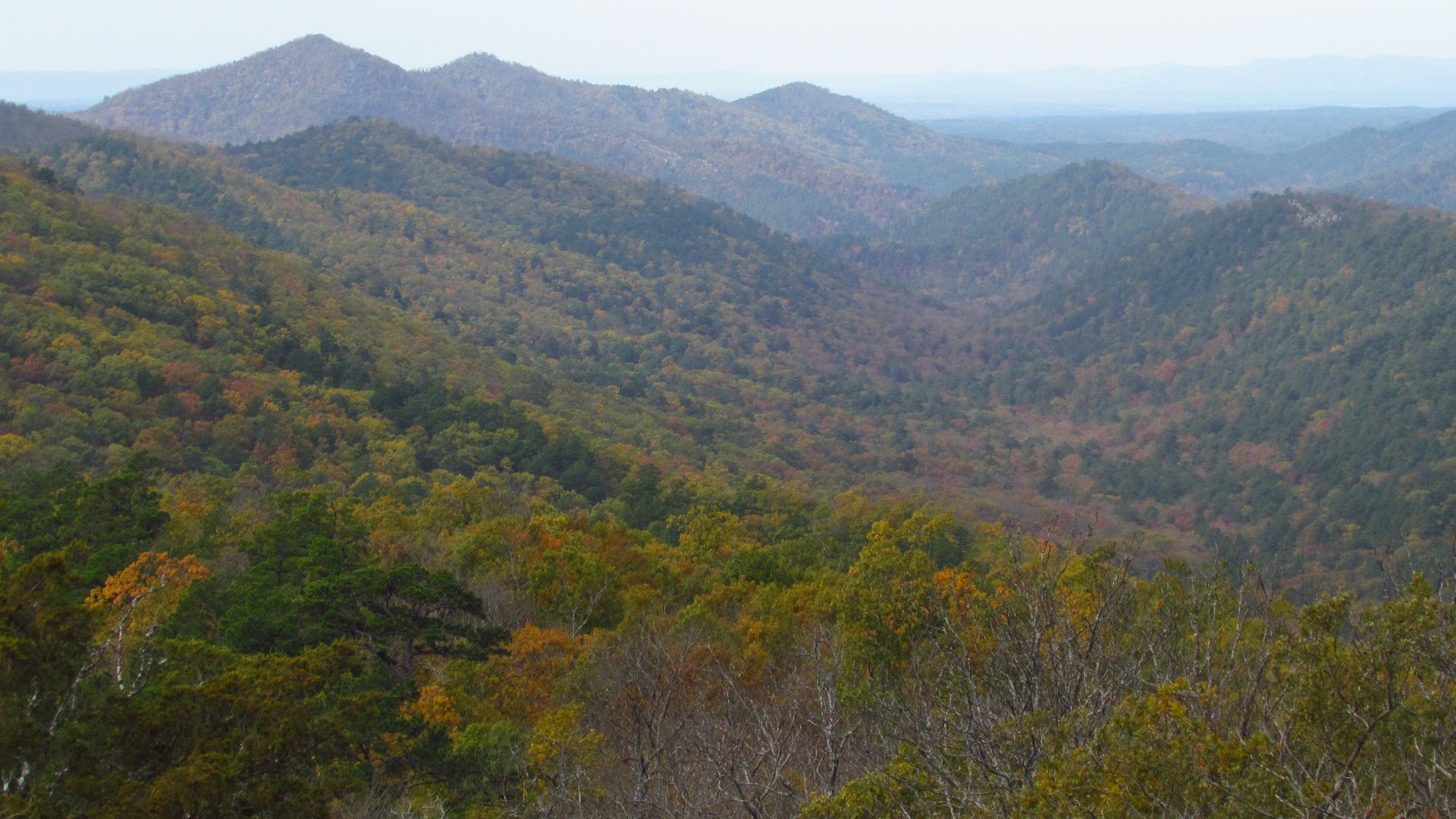 File:Ouachita Mountains in Arkansas.JPG