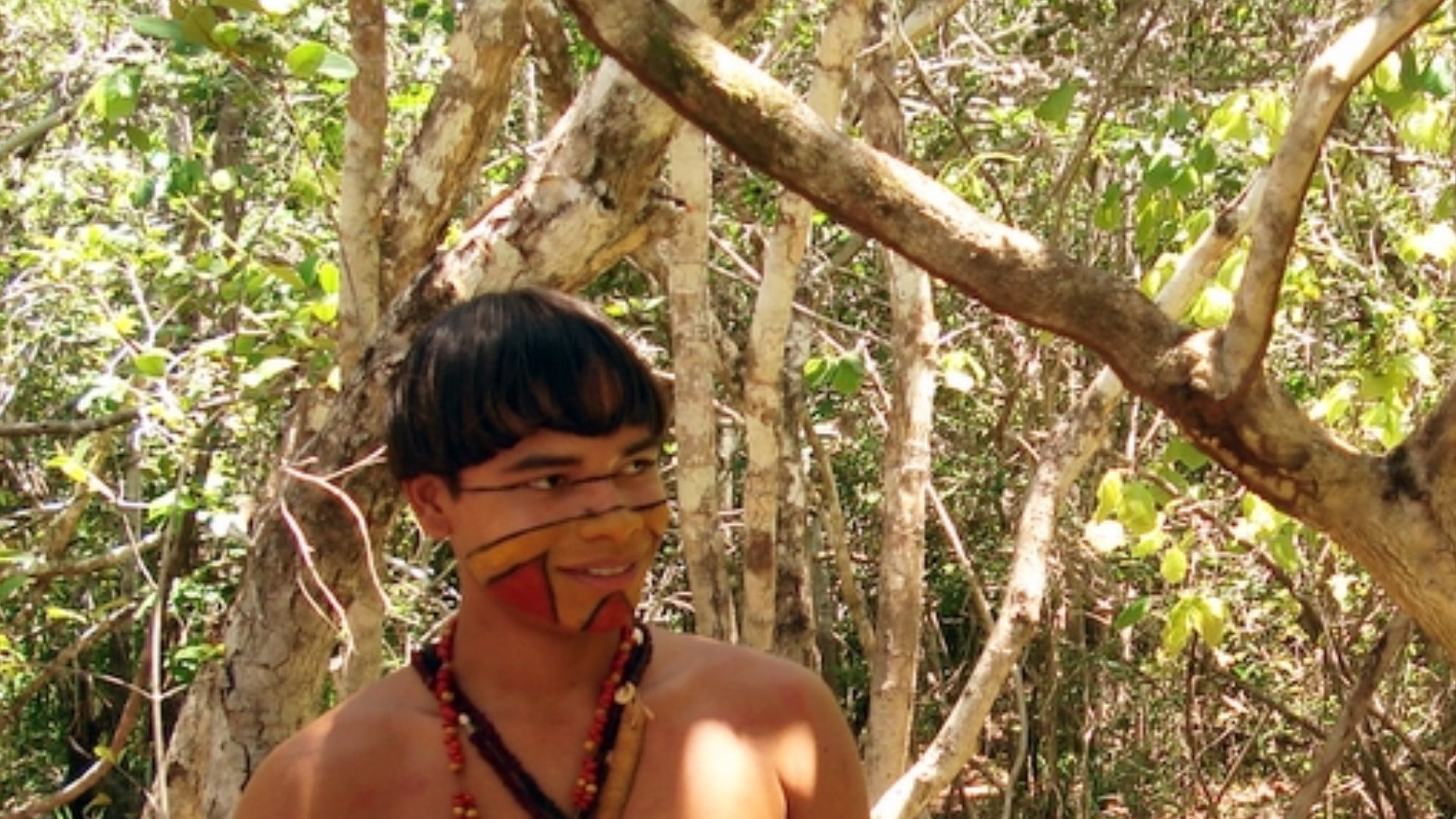 File:Indian pataxó bahia.jpg