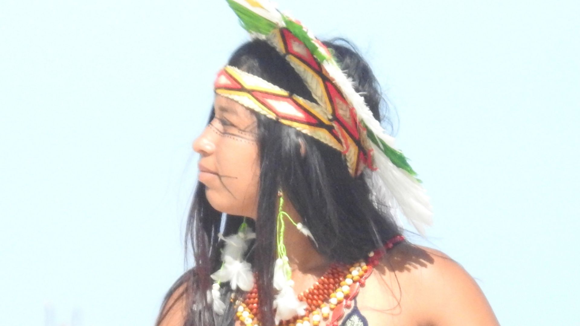 File:Brazilian Indian Selling.jpg