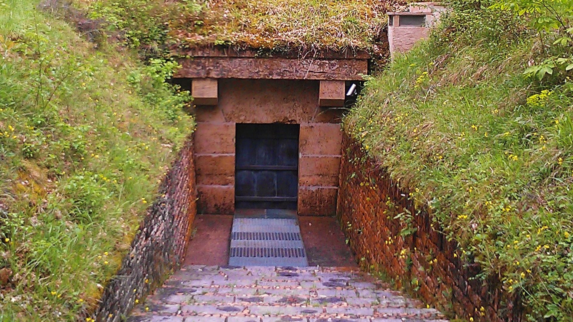 File:Lascaux entrance.jpg