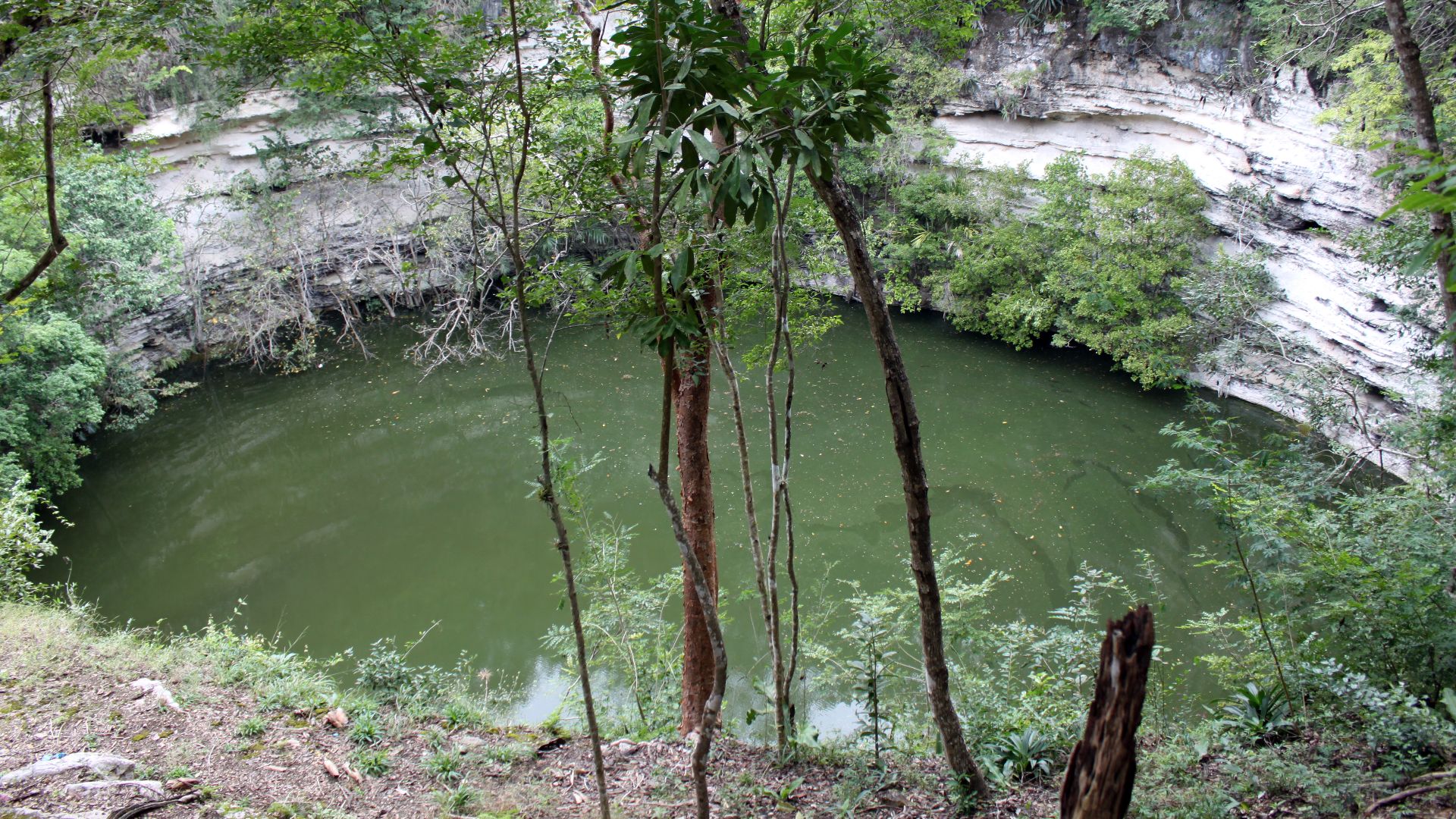 File:2014-01-03 Chichén Itzá, Cenote Sagrado 01 anagoria.JPG