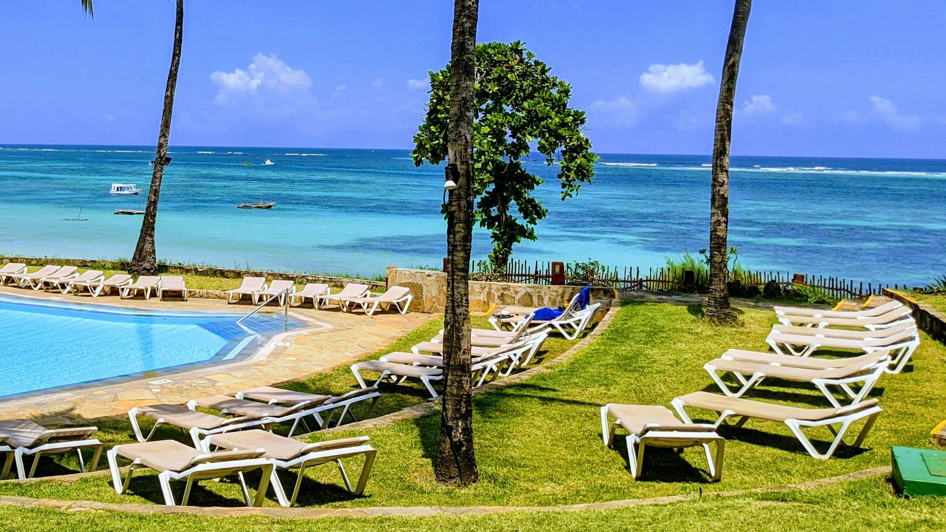 tall trees near beach