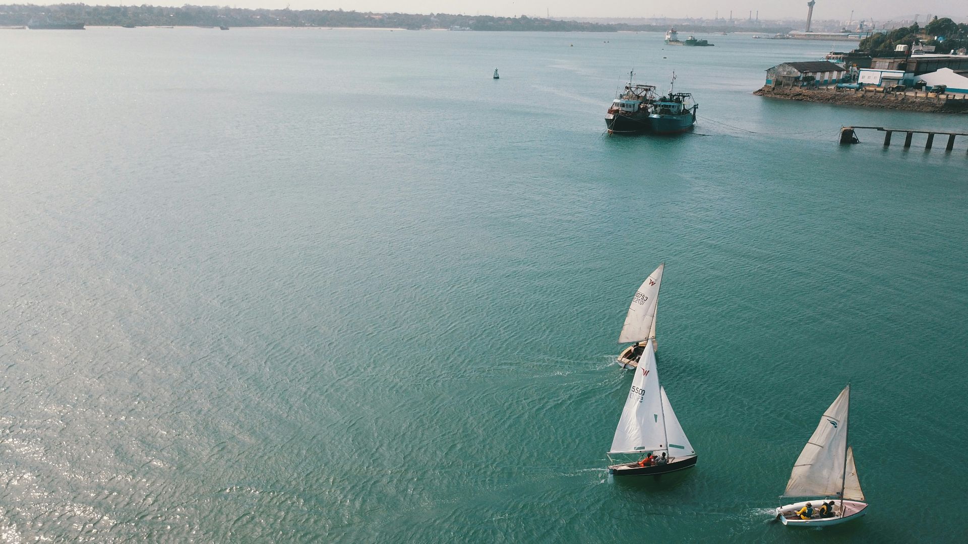 three white sailboats on body of water during daytime