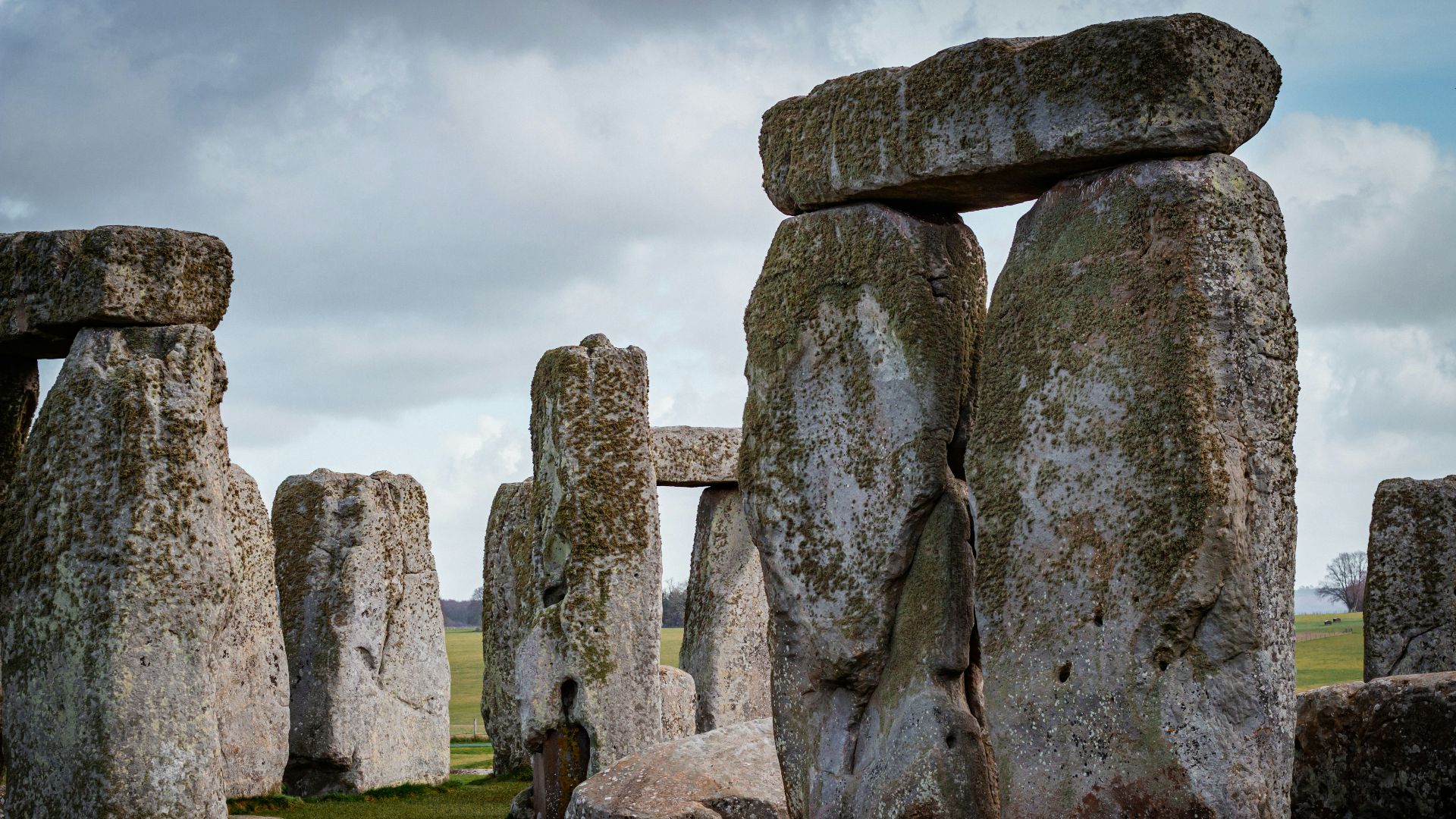 a group of stonehenges in a grassy field