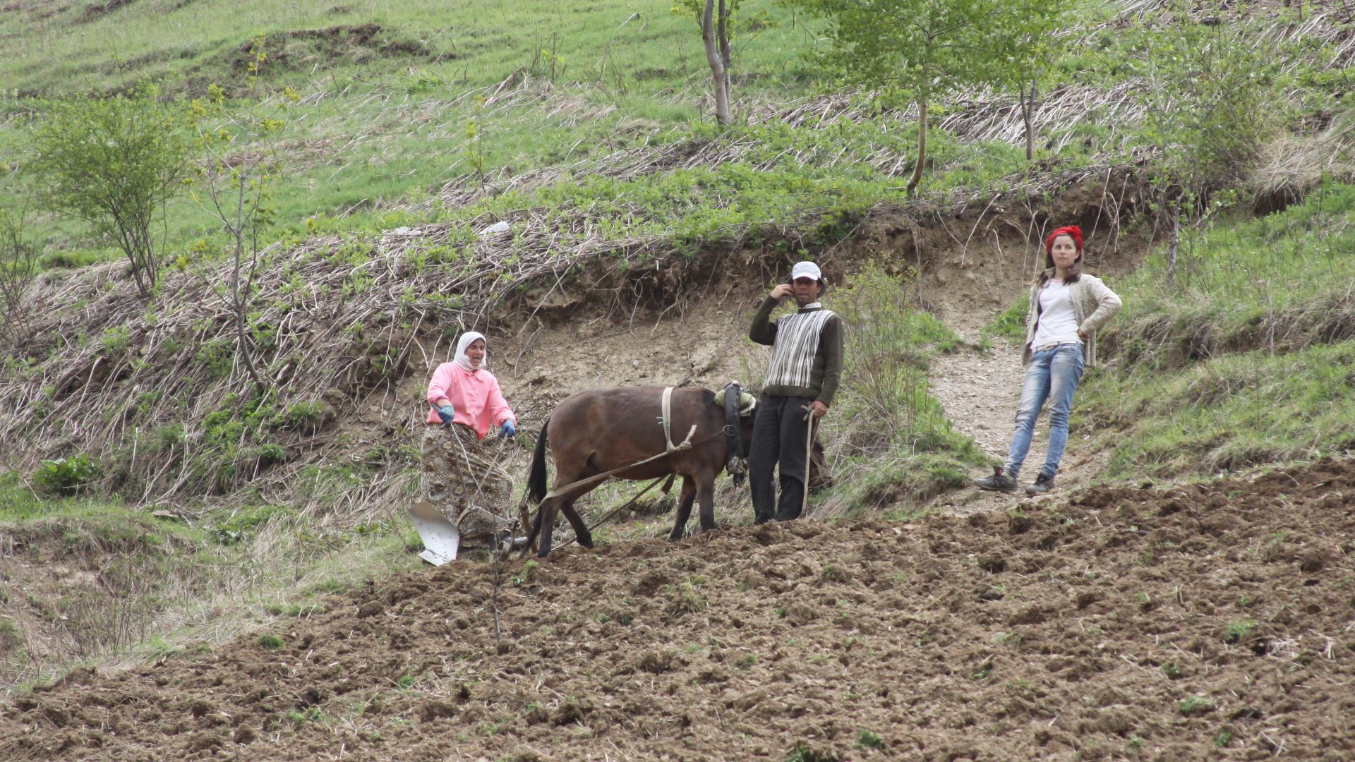 File:Rural Village life in Albania.JPG