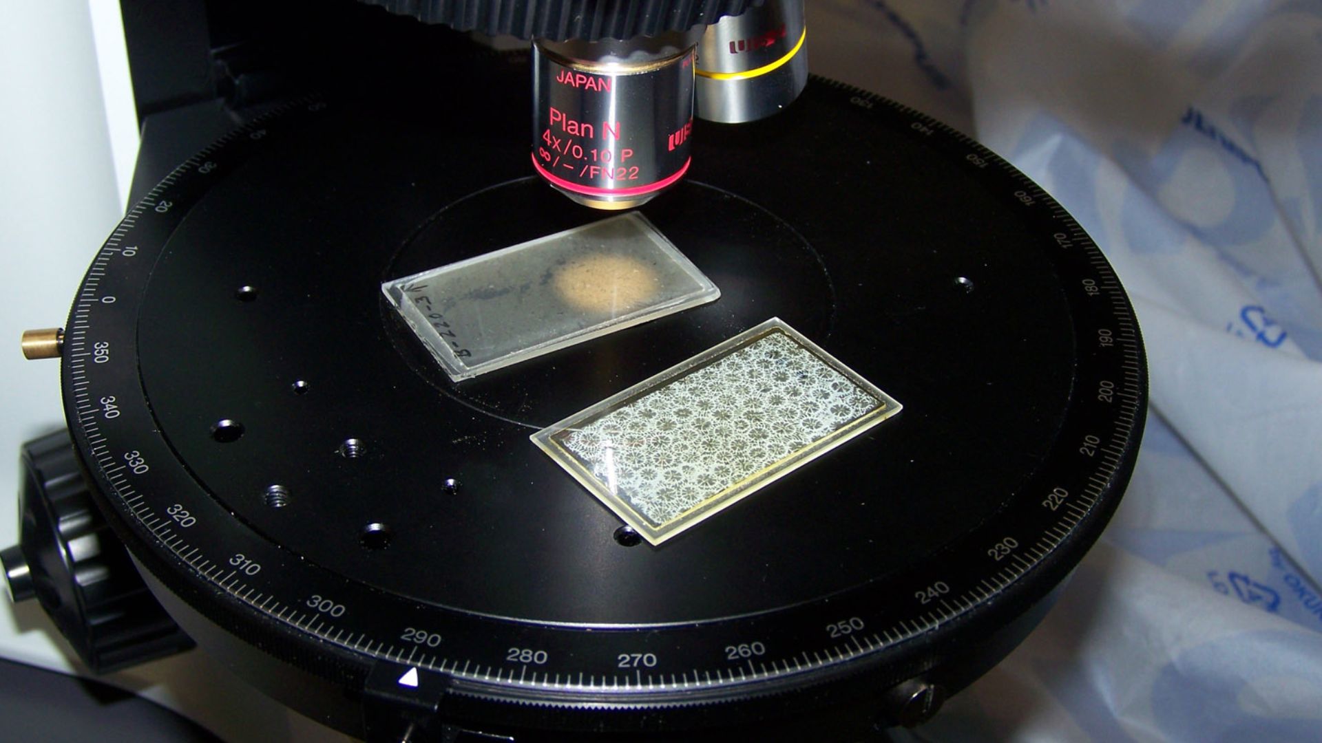 File:Thin sections.JPG