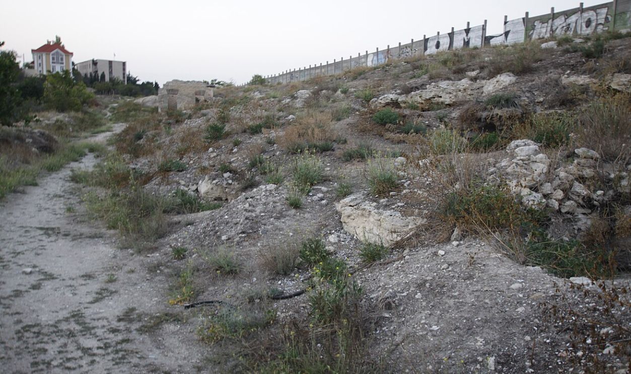 Untitled Design (15)