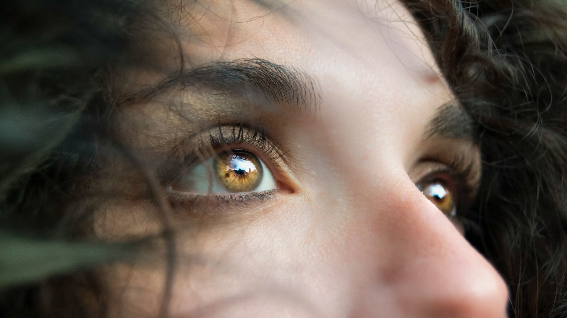 closeup photo of person