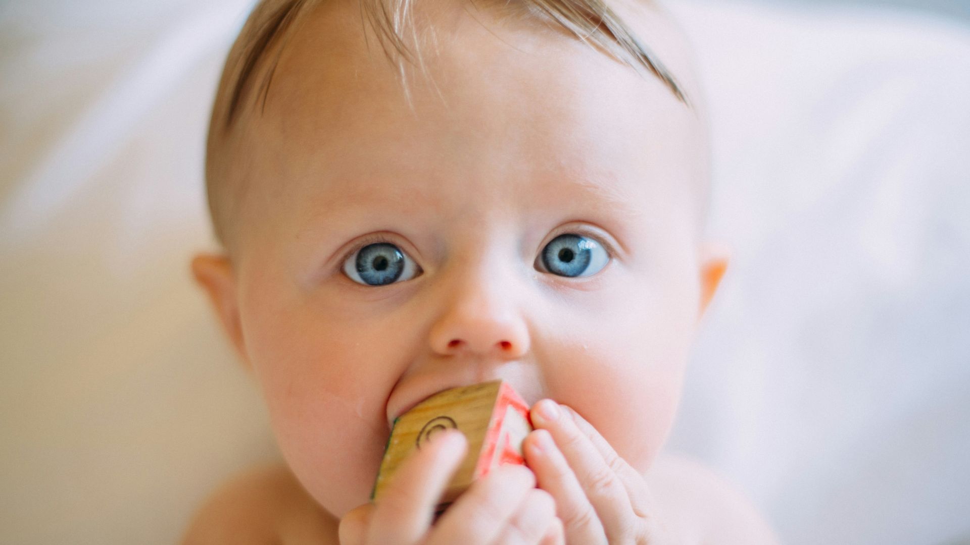 selective focus photography of baby holding wooden cube
