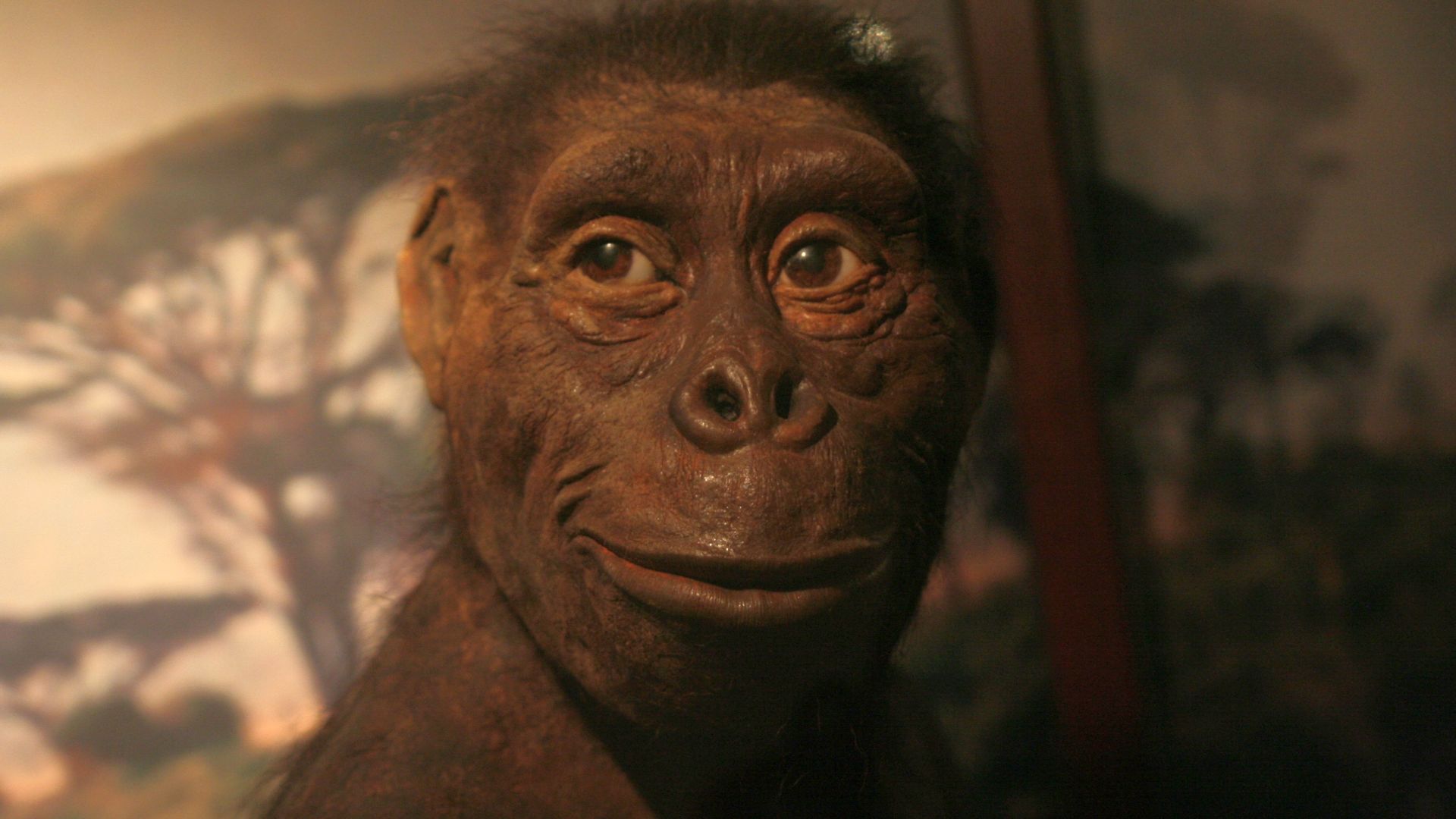 File:Lucy Warsaw.jpg