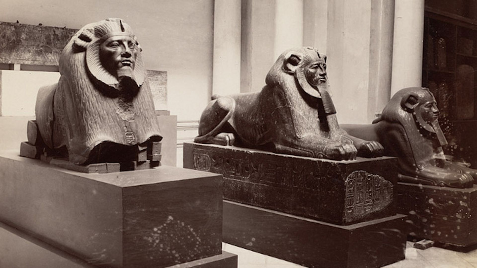 File:Hyksos Sphinxes.jpg
