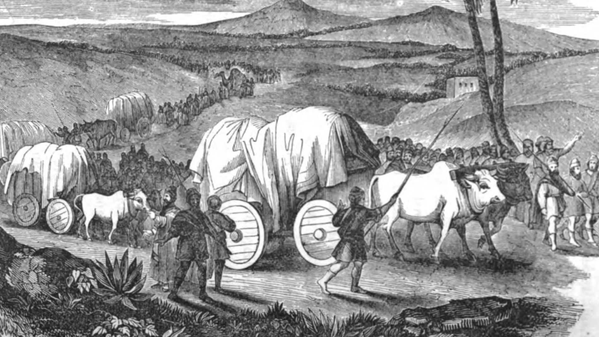 File:The Levites carrying the tabernacle.jpg