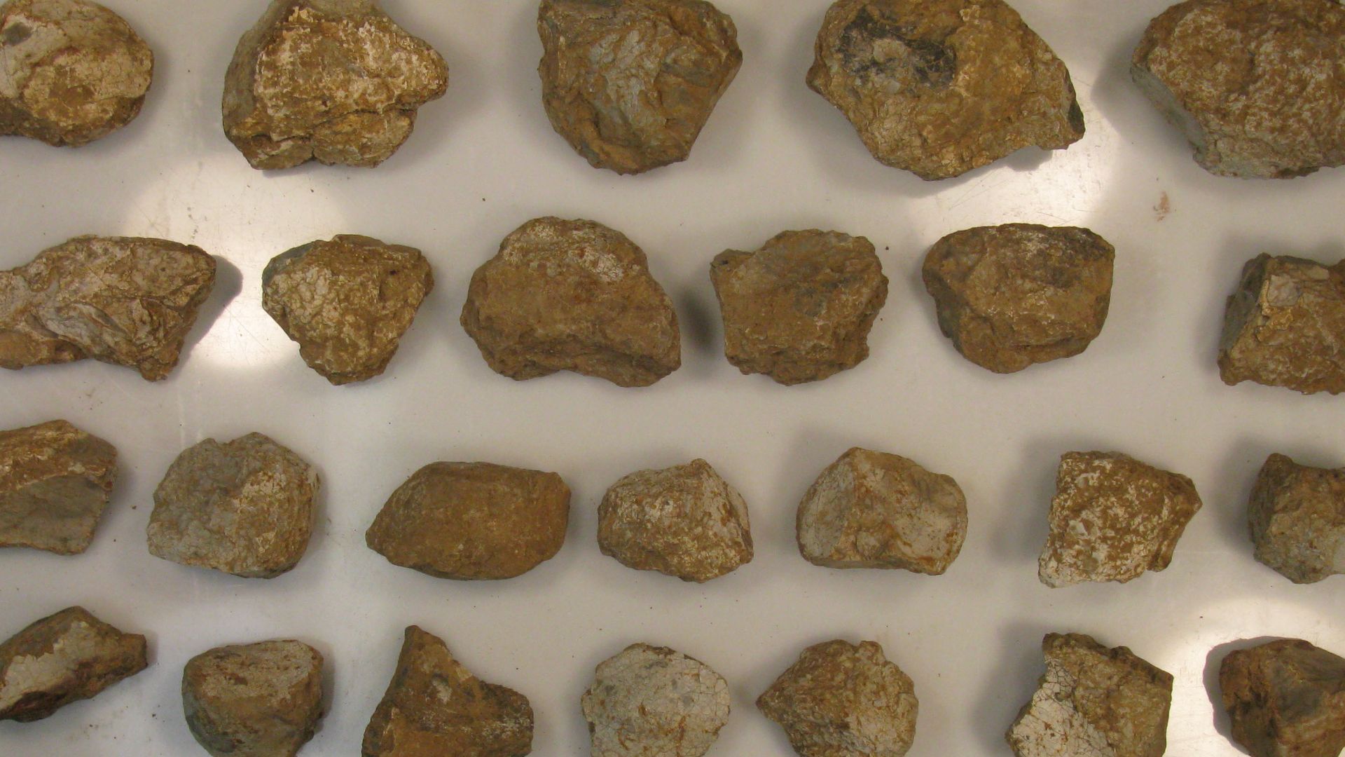 File:Fire Cracked Flint (FindID 438424).jpg