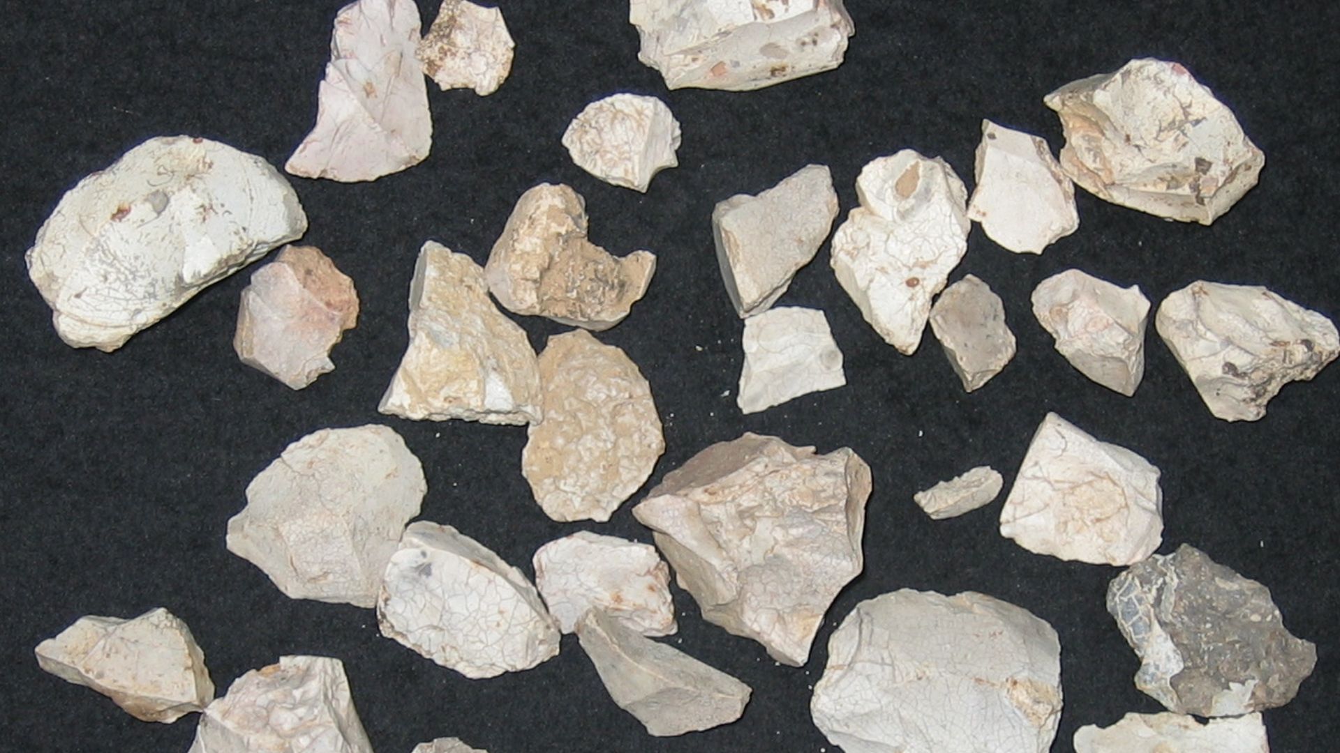 File:798 Thirty five Prehistoric Fire damaged flints (FindID 115013).jpg