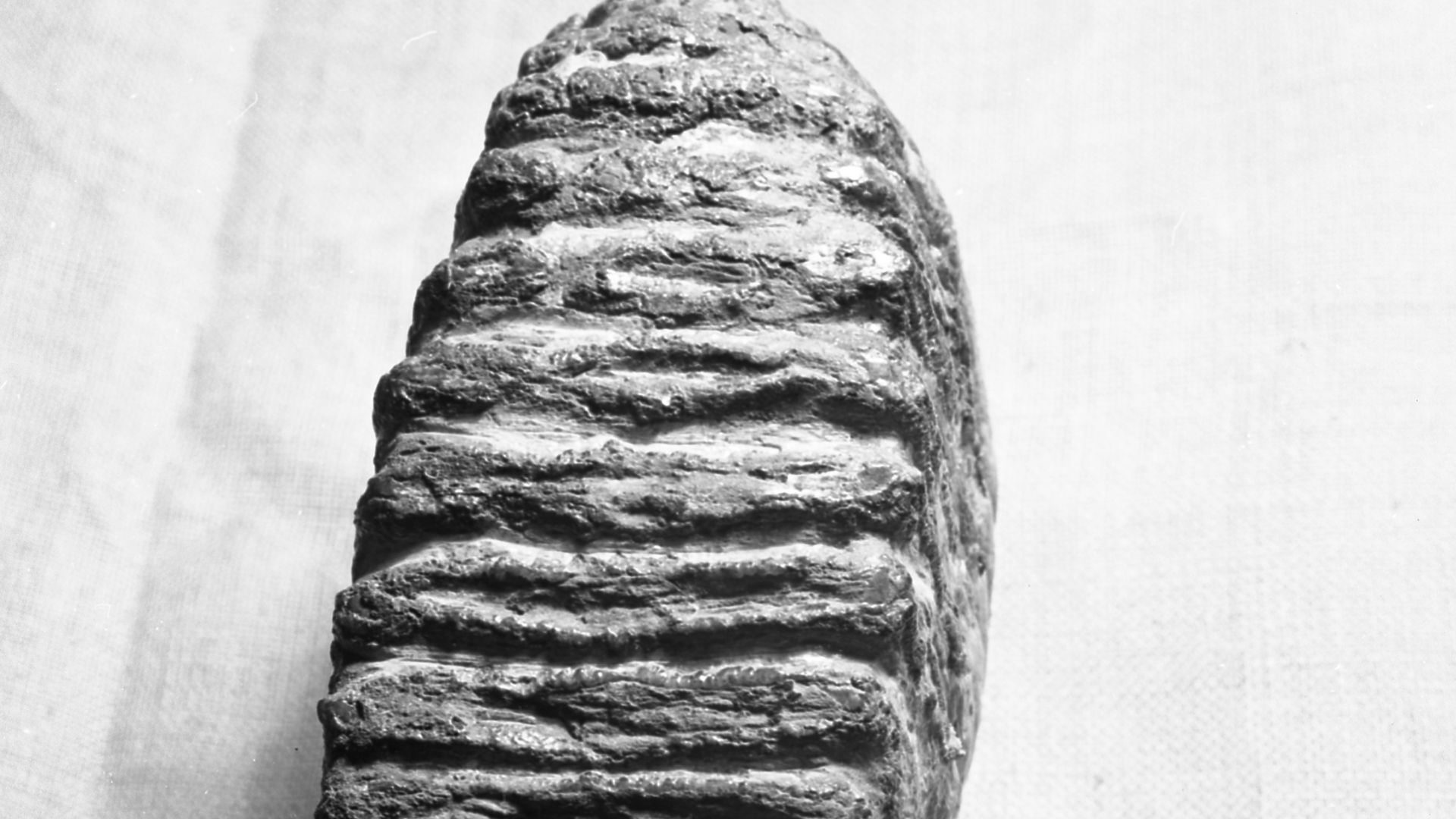 File:Gesher Benot Ya'aqov (997009157799405171.jpg