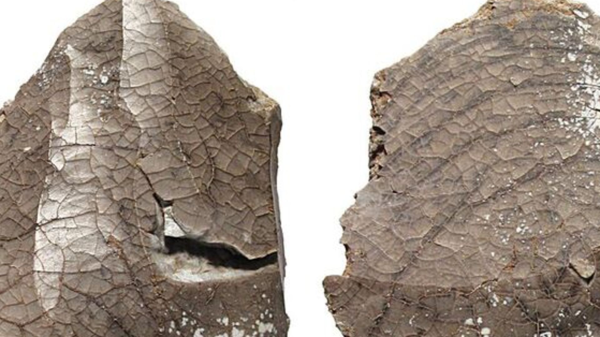 File:Mesolithic fire-cracked flint core fragment (FindID 747416).jpg