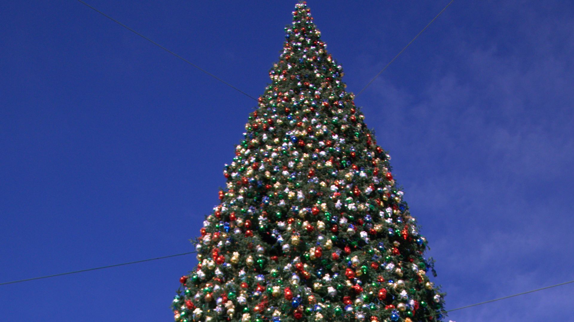 File:Anthem Christmas Tree, 2014.jpg