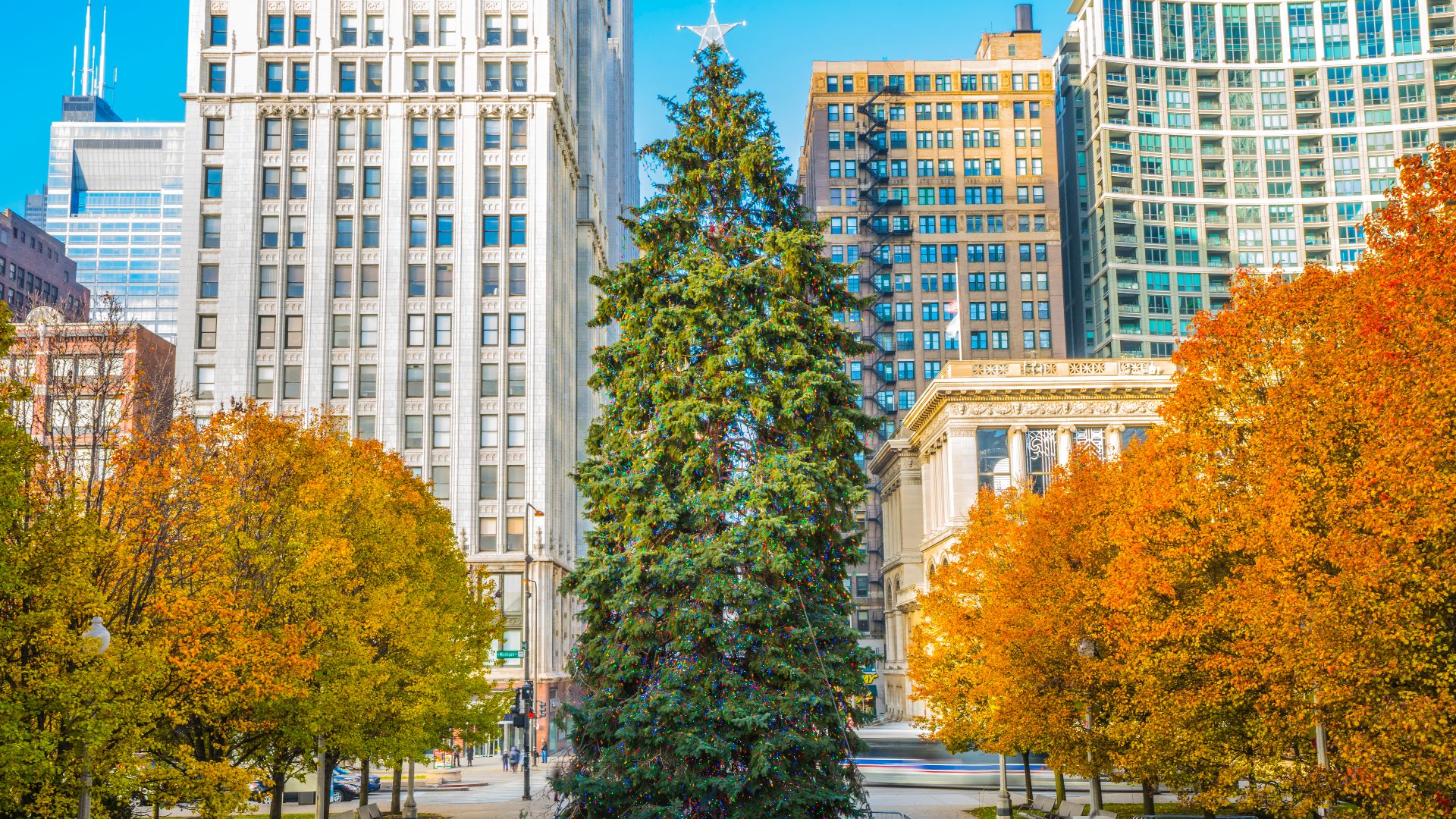 File:20151205 ChicagoChristmasTree.jpg