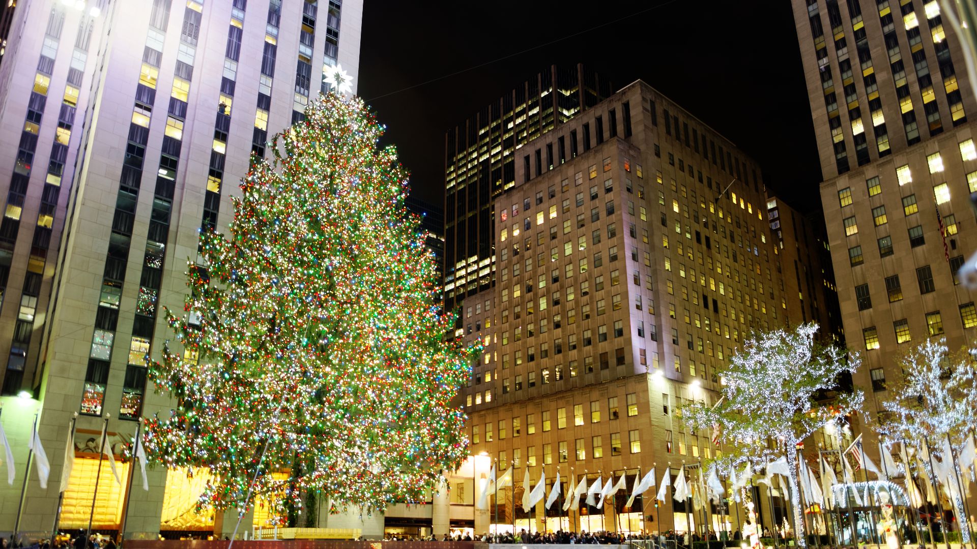 File:Rockefeller Center Christmas Tree 06.jpg