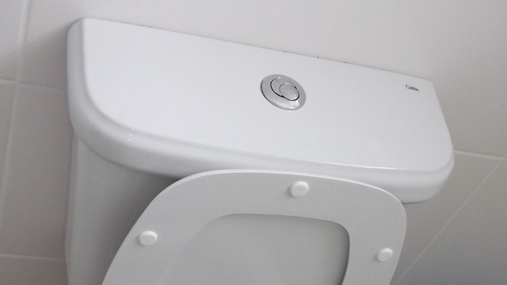 File:Toilet double flush 01.jpg