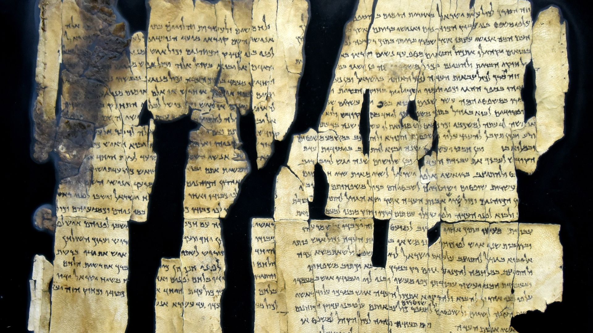 File:Dead Sea Scroll 28a from Qumran Cave 1, complete, the Jordan Museum in Amman.jpg