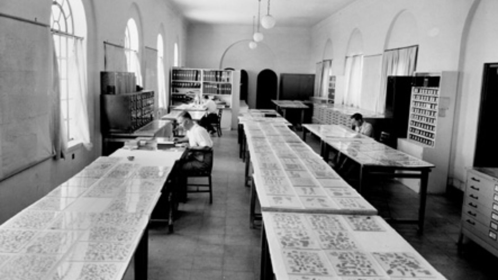 File:Dead Sea Scroll Scholar Examination.jpg